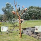 Festetics Imre Állatpark Keszthely - 