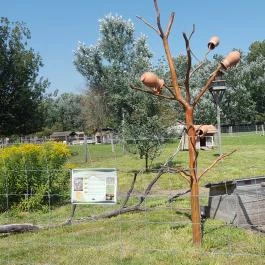 Festetics Imre Állatpark, Keszthely - 