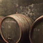 Gergely Borház Balatoncsicsó - Egyéb