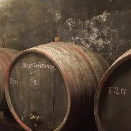 Gergely Borház, Balatoncsicsó - Egyéb