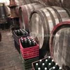 Gergely Borház Balatoncsicsó - Egyéb