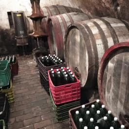 Gergely Borház, Balatoncsicsó - Egyéb