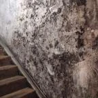 Gergely Borház Balatoncsicsó - Egyéb