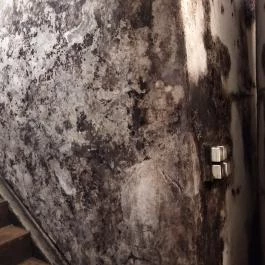 Gergely Borház, Balatoncsicsó - Egyéb