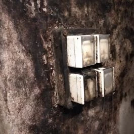 Gergely Borház, Balatoncsicsó - Egyéb