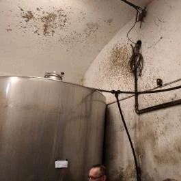 Gergely Borház, Balatoncsicsó - Egyéb