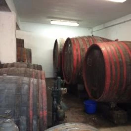 Gergely Borház, Balatoncsicsó - Egyéb