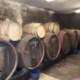 Gergely Borház, Balatoncsicsó - Egyéb