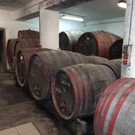 Gergely Borház, Balatoncsicsó - Egyéb