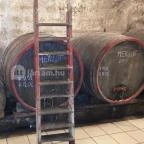 Gergely Borház Balatoncsicsó - Egyéb