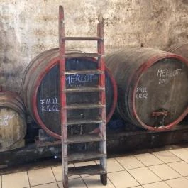 Gergely Borház, Balatoncsicsó - Egyéb