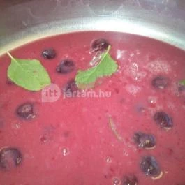 Gokart Hotel Kecskemét - Vendéglátás