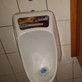 Gyarmati Étterem Veszprém - Mosdó