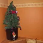 Hamburger Box Zirc - Belső