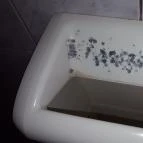 Határ Étterem Hegyeshalom - Étel/ital