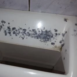 Határ Étterem, Hegyeshalom - Étel/ital