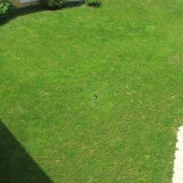 Hotel Aphrodite Zalakaros - Medence/kert