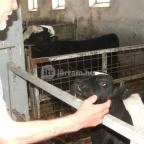 Hotel Aphrodite Zalakaros - Egyéb