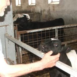 Hotel Aphrodite Zalakaros - Egyéb