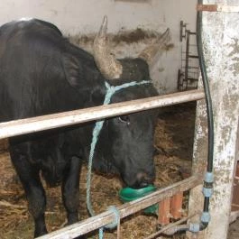 Hotel Aphrodite Zalakaros - Egyéb