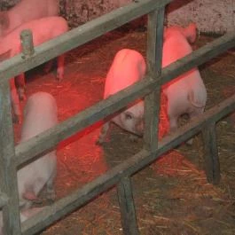 Hotel Aphrodite Zalakaros - Egyéb