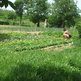 Hotel Aphrodite Zalakaros - Egyéb