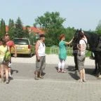 Hotel Aphrodite Zalakaros - Szórakozás/Sport