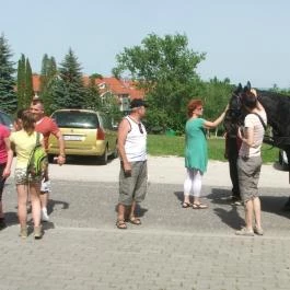 Hotel Aphrodite Zalakaros - Szórakozás/Sport