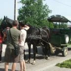 Hotel Aphrodite Zalakaros - Szórakozás/Sport