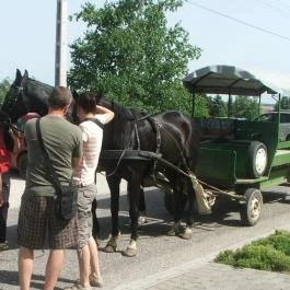 Hotel Aphrodite Zalakaros - Szórakozás/Sport