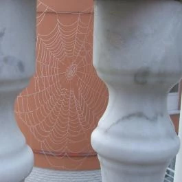 Hotel Bellevue Esztergom - Egyéb