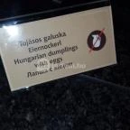 Hotel Európa Fit Étterme Hévíz - Egyéb