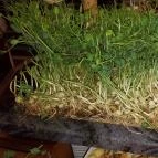 Hotel Európa Fit Étterme Hévíz - Étel/ital