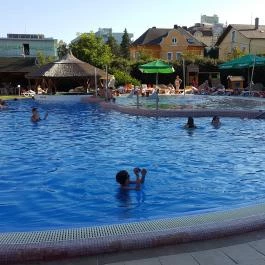 Hotel Európa Fit Hévíz - Medence/kert