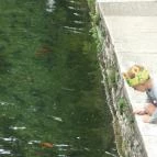 Hotel Gabriella Tapolca - Környék