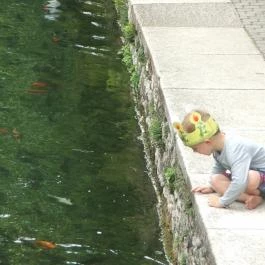 Hotel Gabriella, Tapolca - Környék