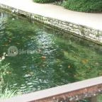 Hotel Gabriella Tapolca - Környék