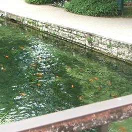 Hotel Gabriella, Tapolca - Környék