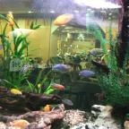 MenDan Magic Spa & Wellness Hotel Zalakaros - Belső