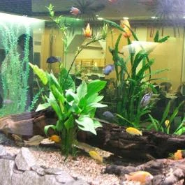 MenDan Magic Spa & Wellness Hotel, Zalakaros - Belső