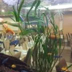 MenDan Magic Spa & Wellness Hotel Zalakaros - Belső