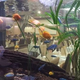 MenDan Magic Spa & Wellness Hotel, Zalakaros - Belső