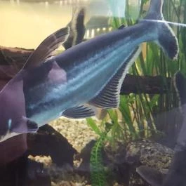 MenDan Magic Spa & Wellness Hotel, Zalakaros - Belső