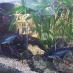 MenDan Magic Spa & Wellness Hotel Zalakaros - Belső