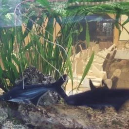 MenDan Magic Spa & Wellness Hotel, Zalakaros - Belső