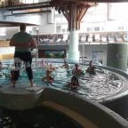 MenDan Magic Spa & Wellness Hotel Zalakaros - Wellness