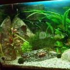 Palace Hotel Hévíz - Egyéb