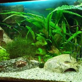 Palace Hotel Hévíz - Egyéb