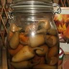 Hotel Silvanus Panoráma Étterem Visegrád - Étel/ital