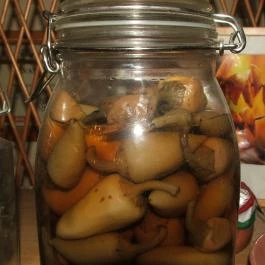 Hotel Silvanus Panoráma Étterem Visegrád - Étel/ital